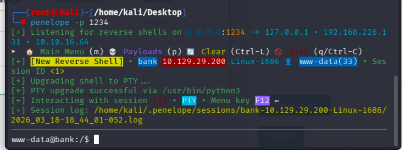Penelope catches reverse shell from bank (10.129.29.200) as www-data, PTY upgrade via python3