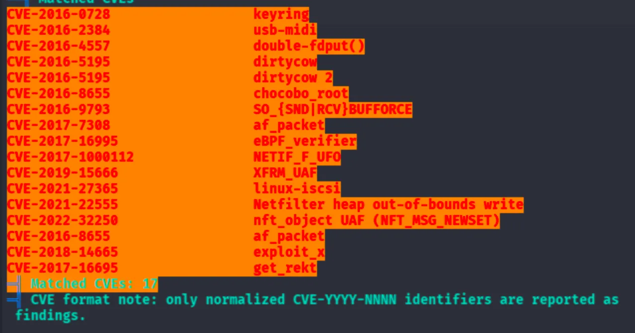 LinPEAS kernel exploit suggestions: 17 matched CVEs including dirtycow, eBPF verifier, Netfilter heap OOB write