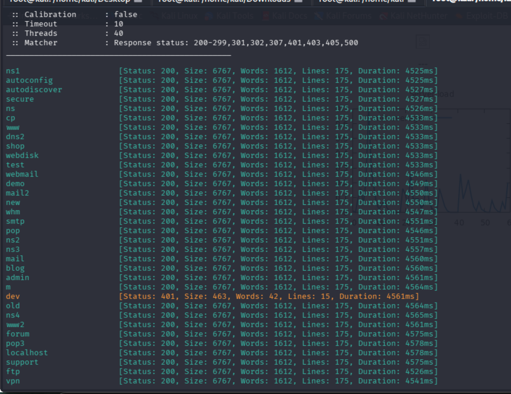 Discovered dev subdomain details during virtual host enumeration
