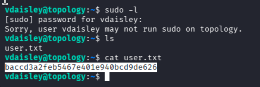 Terminal output showing user flag capture and disabled options on the Topology host