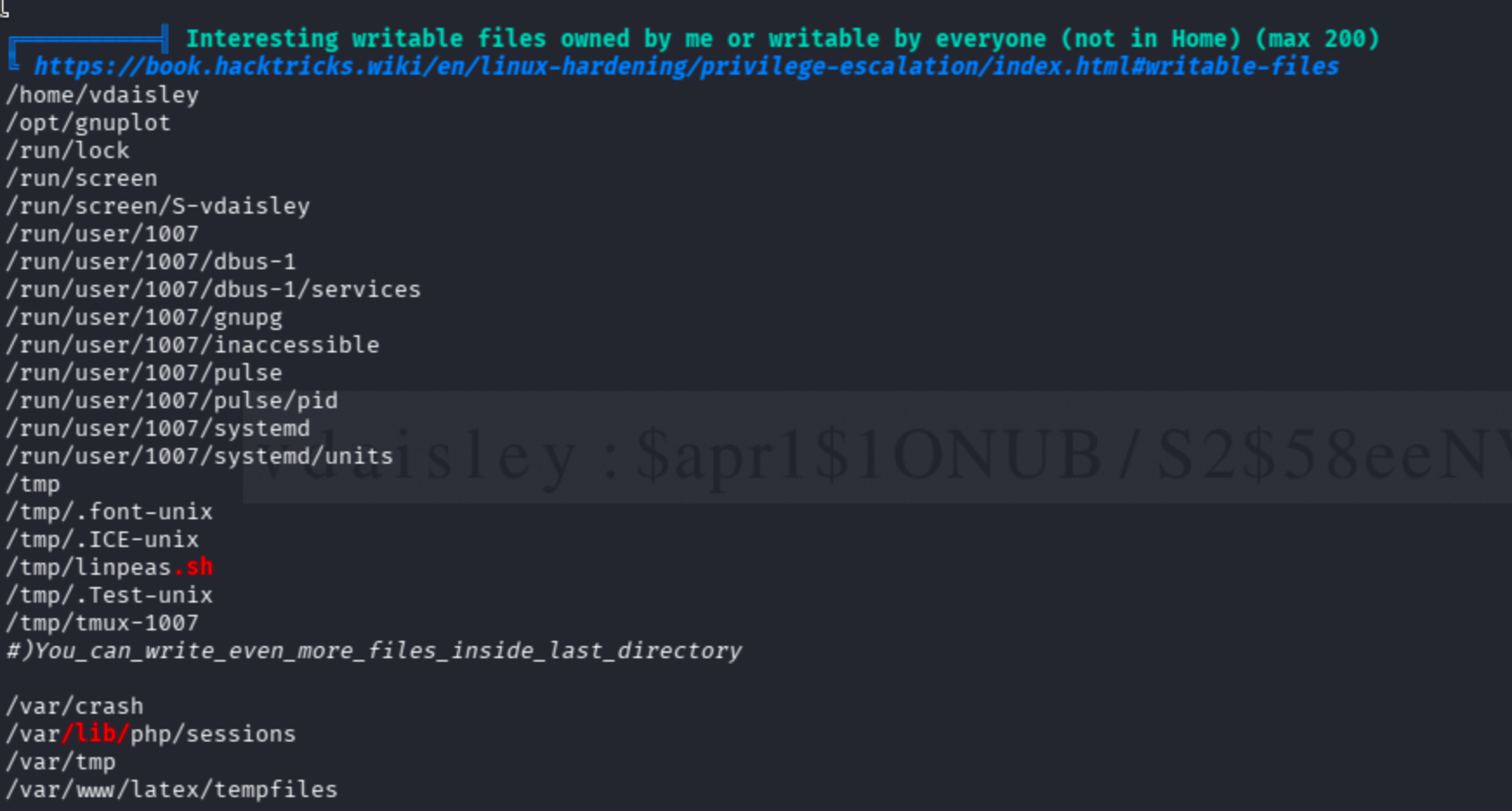 LinPEAS output highlighting a suspicious binary or directory on the Topology box