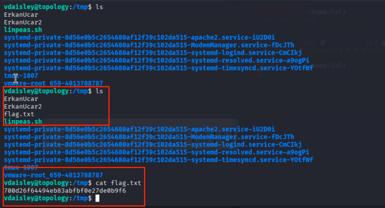 Terminal output showing direct flag exfiltration for the root flag