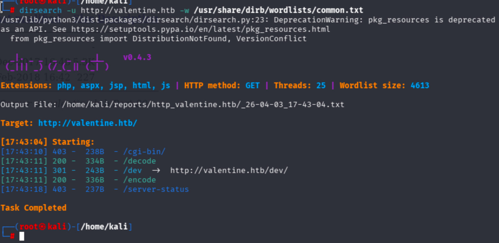 Directory fuzzing results revealing hidden paths on Valentine