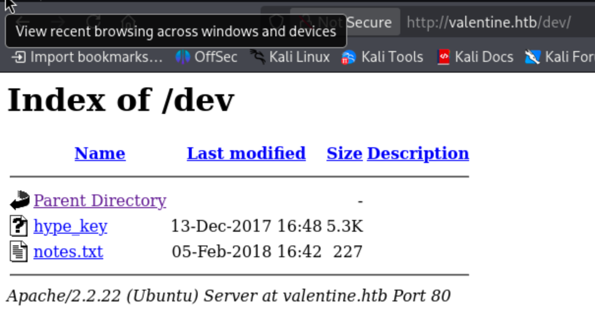 Hidden directory contents with two files on the Valentine web server