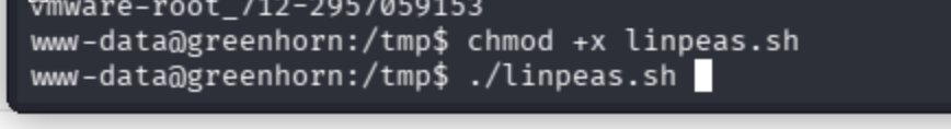 Terminal commands to chmod and execute a file for lateral movement