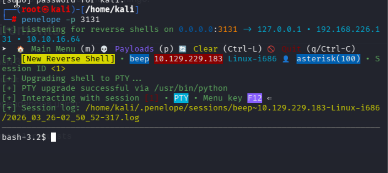 Penelope reverse shell handler catching connection from beep (10.129.229.183) as asterisk user with PTY upgrade