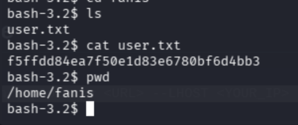 User flag captured: cat user.txt in /home/fanis directory