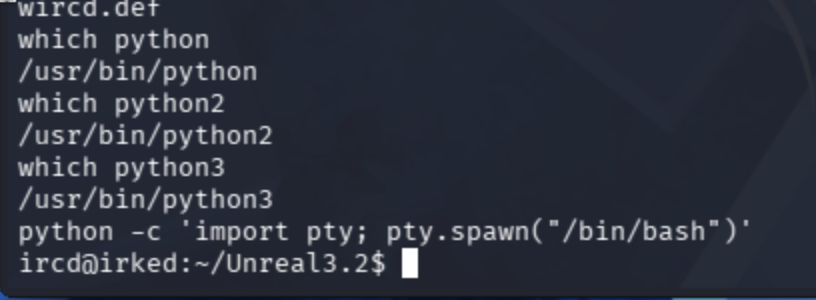 Python PTY spawn upgrading raw shell to interactive bash session as ircd user