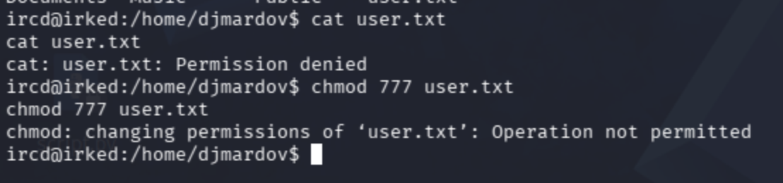 Permission denied reading /home/djmardov/user.txt; chmod 777 attempt also fails
