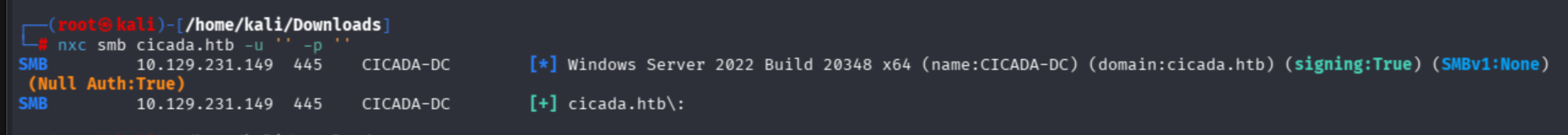 NetExec SMB null session authentication succeeds on CICADA-DC Windows Server 2022 Build 20348