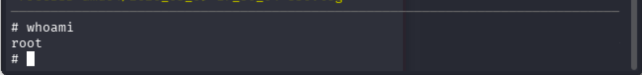 Terminal output of root shell session on pfSense device showing command prompt.