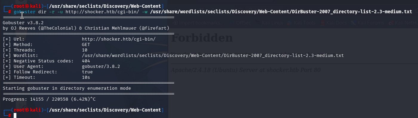 Terminal output of ffuf -w /usr/share/dirb/wordlists/common.txt -u http://shocker.htb/cgi-bin/FUZZ.php showing user.sh with status 200