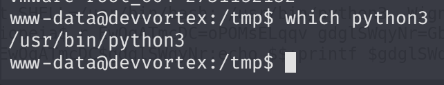 Terminal output of cat user.txt as www-data showing Permission denied