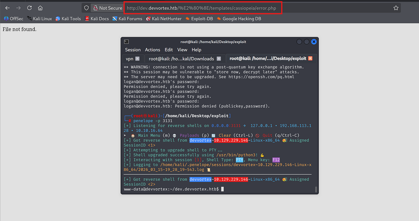 Terminal output of penelope -p 3131 showing reverse shell connection from 10.10.11.242