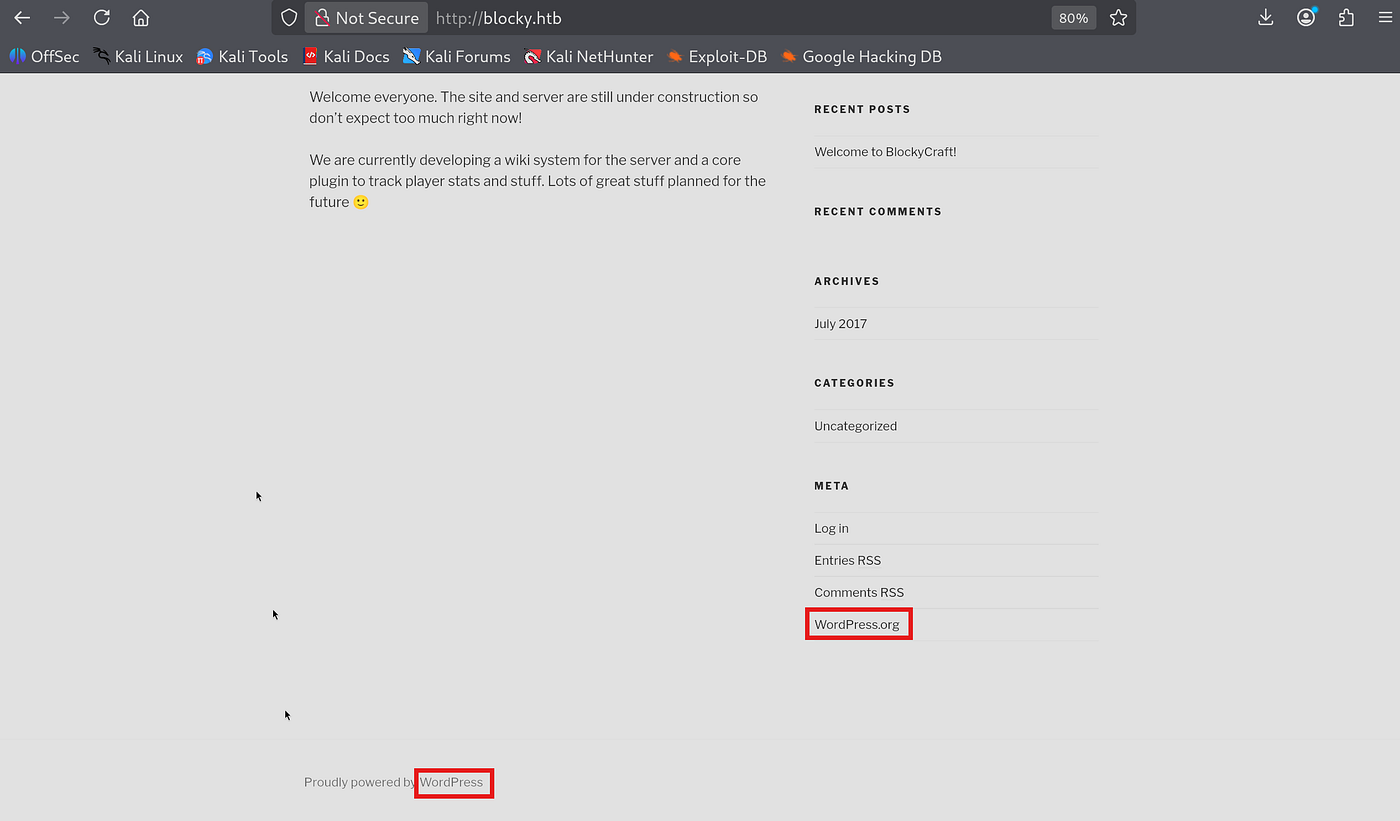 Terminal output of automated reconnaissance tool showing open ports and services
