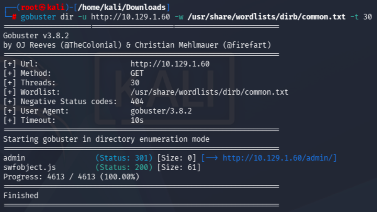 Gobuster output against raw IP showing /admin directory discovered.