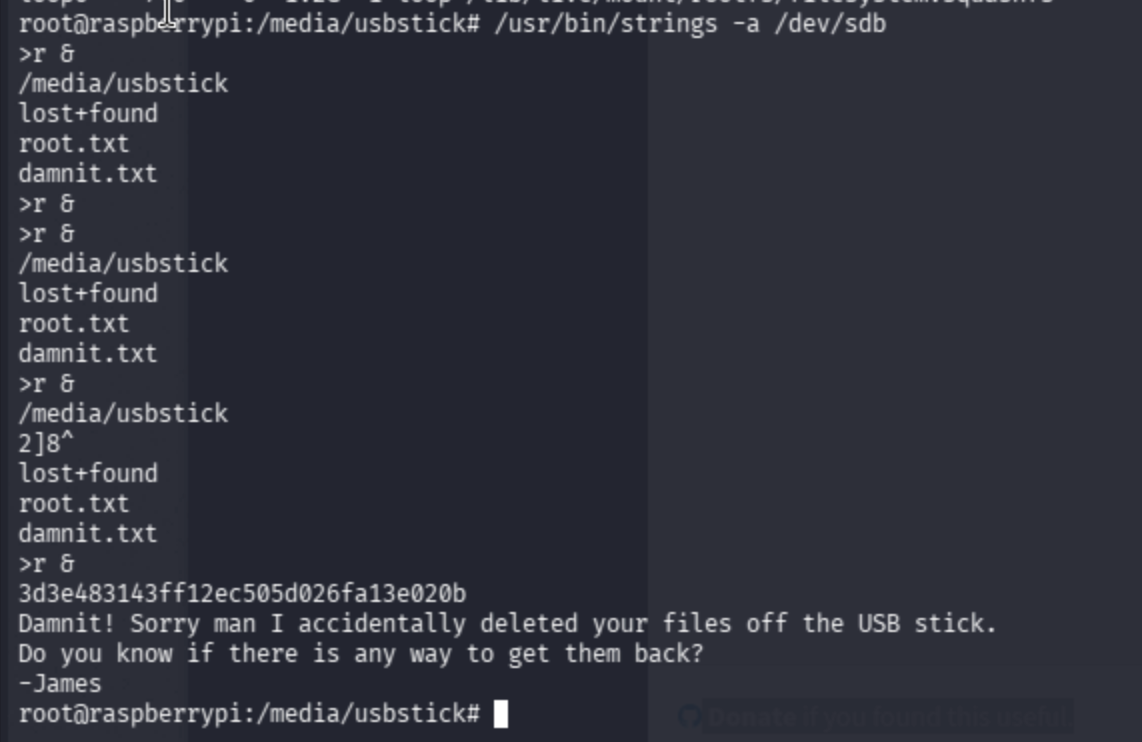 Terminal showing /usr/bin/strings -a /dev/sdb output with root flag recovered.