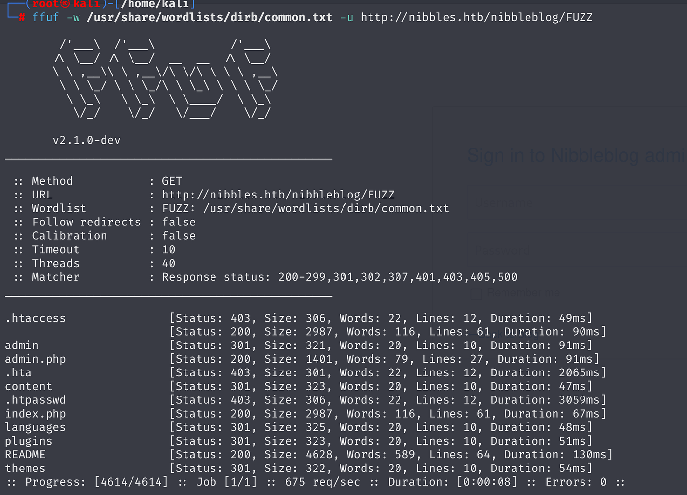 Terminal output of ffuf scan on /nibbleblog/ showing admin.php with status 200
