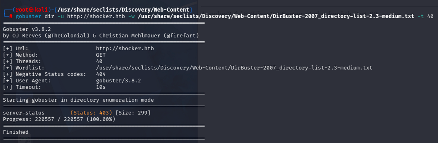 Terminal output of gobuster dir -u http://shocker.htb -w /usr/share/wordlists/dirb/common.txt -t 40 --no-error showing /cgi-bin/ with status 403