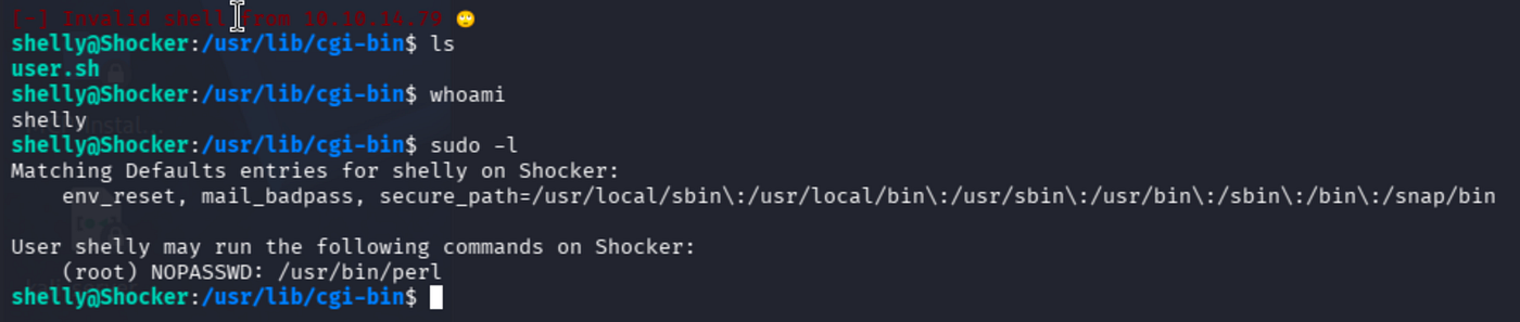 Terminal output of sudo -l showing shelly can run perl as sudo without password