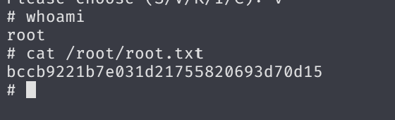 Terminal output of cat /root/root.txt showing root flag