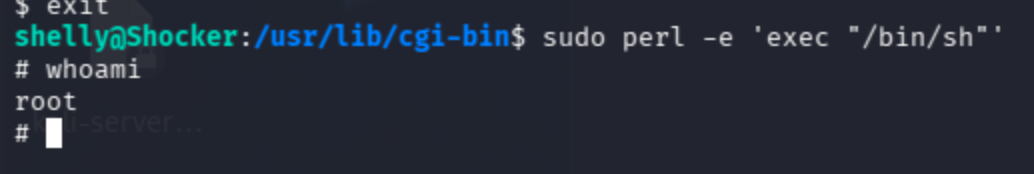 Terminal output of sudo perl -e 'exec /bin/sh' showing root shell with id command