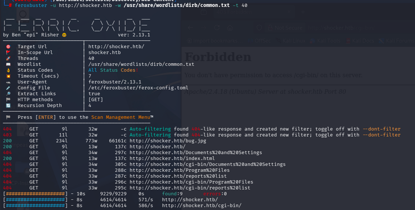 Terminal output of feroxbuster -u http://shocker.htb -w /usr/share/wordlists/dirb/common.txt -t 40 showing /cgi-bin/ with status 403