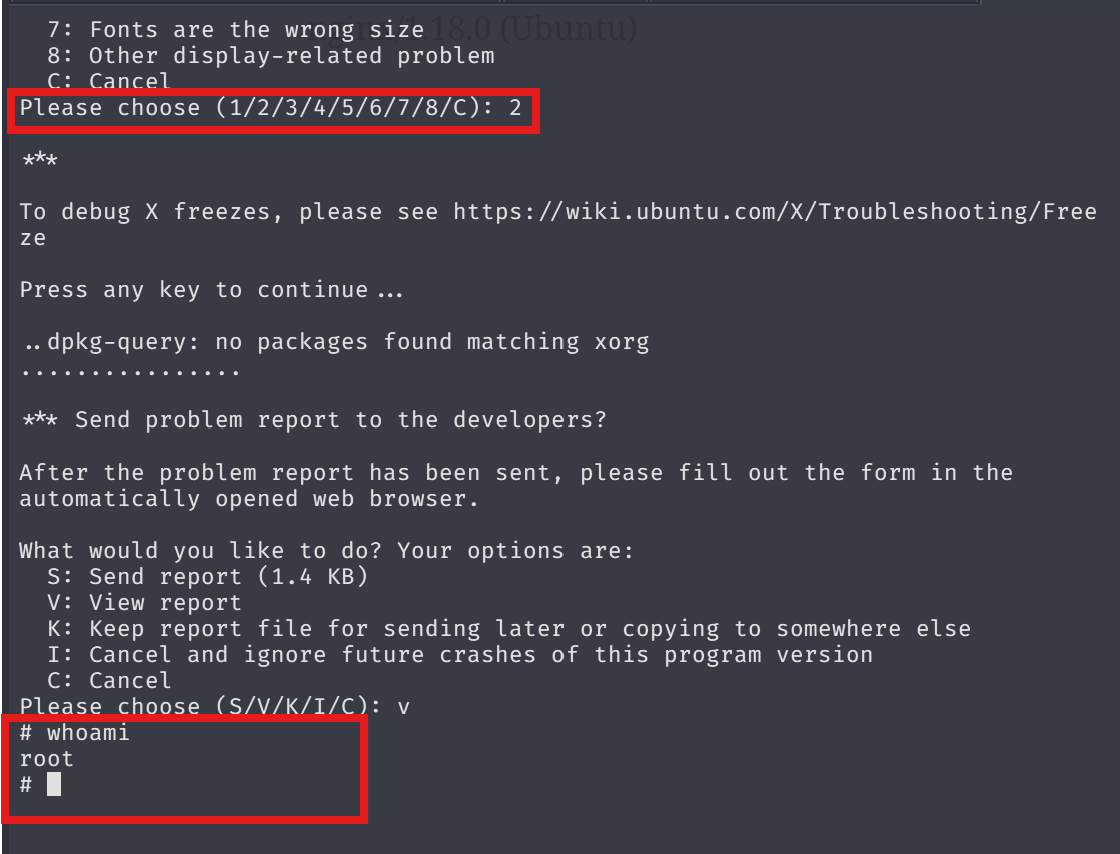 Terminal output of sudo apport-cli -f 1 2 v showing interactive menu and less prompt