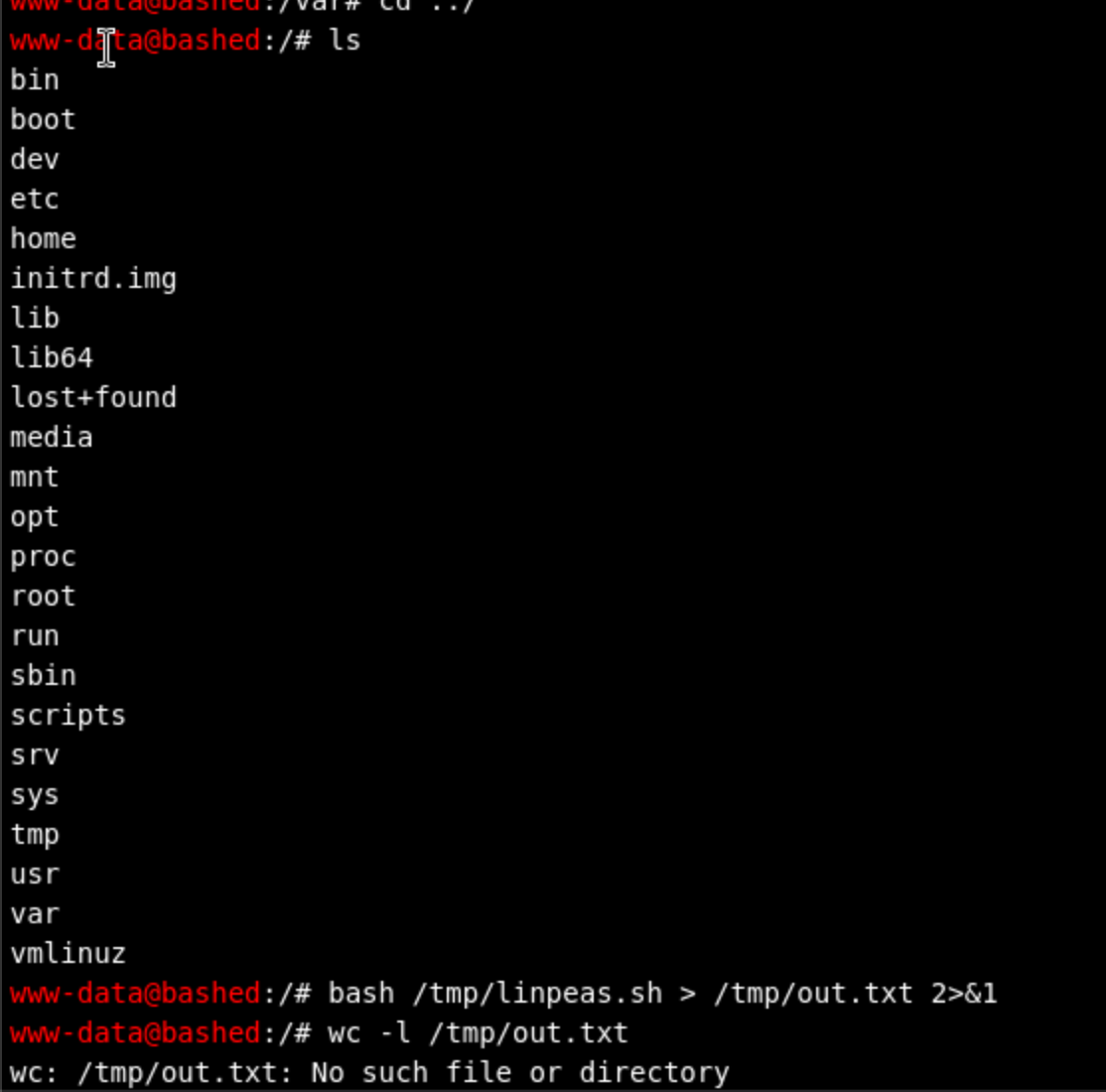 Terminal output of ls -la /scripts showing test.py and test.pyc files owned by scriptmanager.