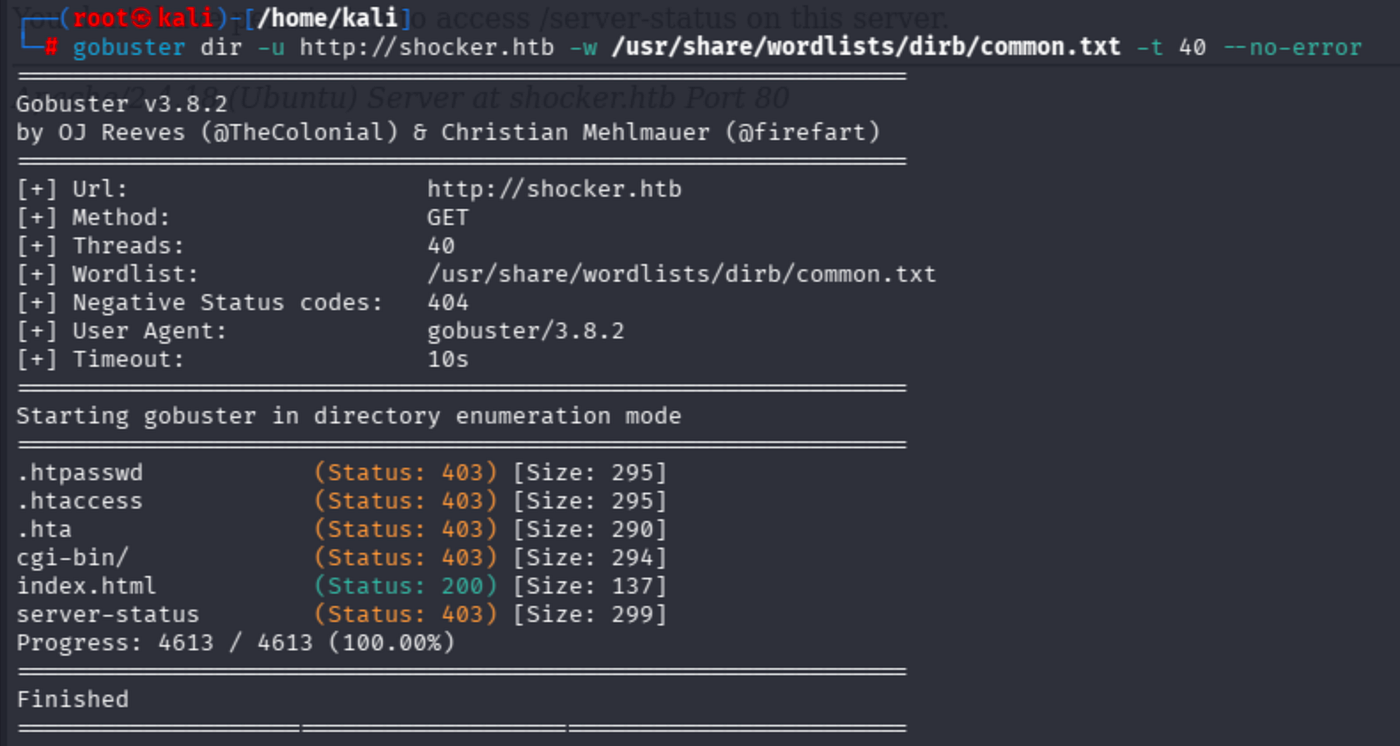 Terminal output of gobuster dir -u http://shocker.htb -w /usr/share/wordlists/dirb/common.txt -t 40 --no-error showing /cgi-bin/ with status 403