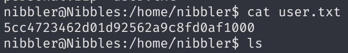 Terminal output showing user flag file contents