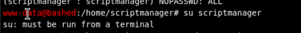 Terminal inside phpbash webshell showing permission denied when accessing /root as scriptmanager.