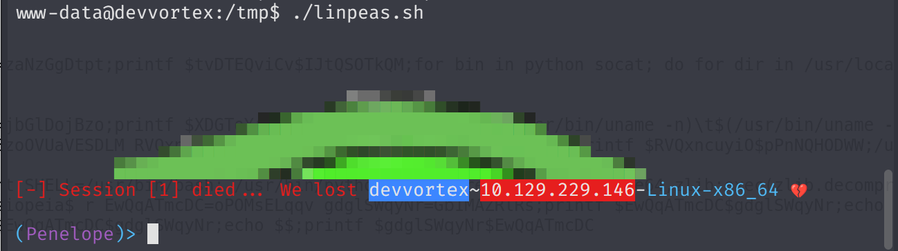 Terminal output of curl and chmod for linpeas.sh, and execution of linpeas.sh