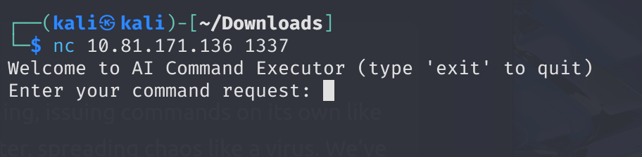 Terminal output after connecting via nc 10.81.171.136 1337, displaying Evil-GPT welcome message and command prompt.