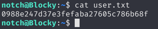 Terminal output showing root shell with flag file contents