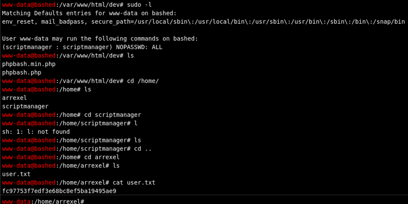 Terminal inside phpbash webshell showing failed su scriptmanager attempt due to no tty.