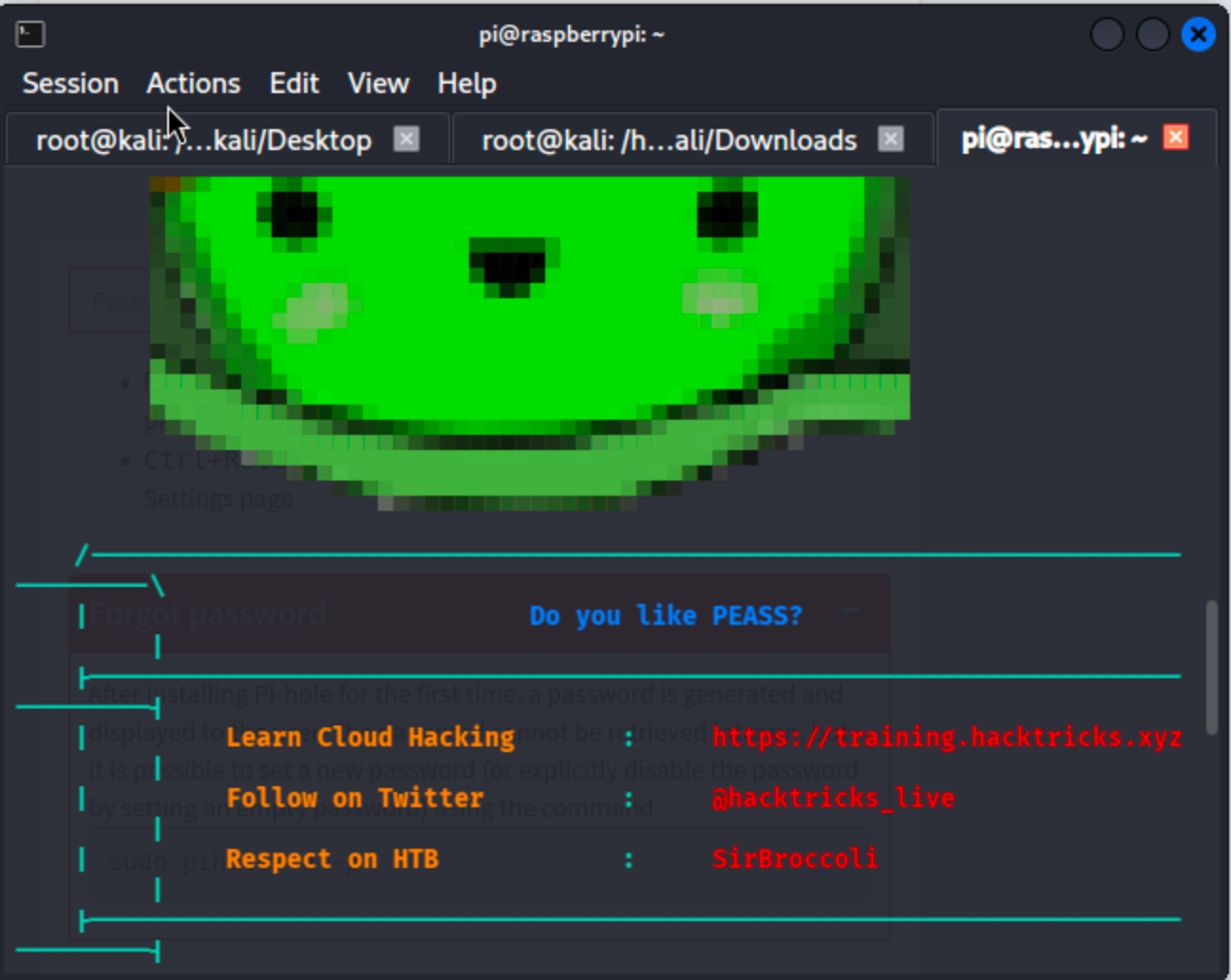 Linpeas output highlighting critical CVEs and mount information for USB device.
