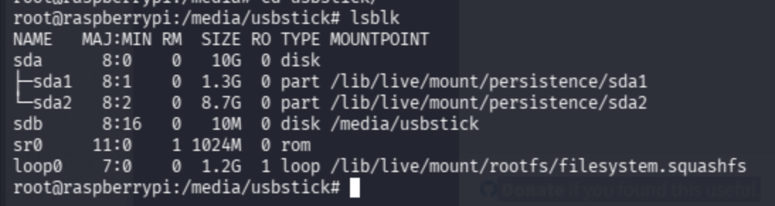 Terminal showing lsblk output confirming /dev/sdb mounted at /media/usbstick.