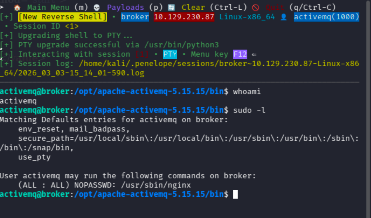 Terminal output showing sudo -l output for activemq user allowing nginx to run as root without password.