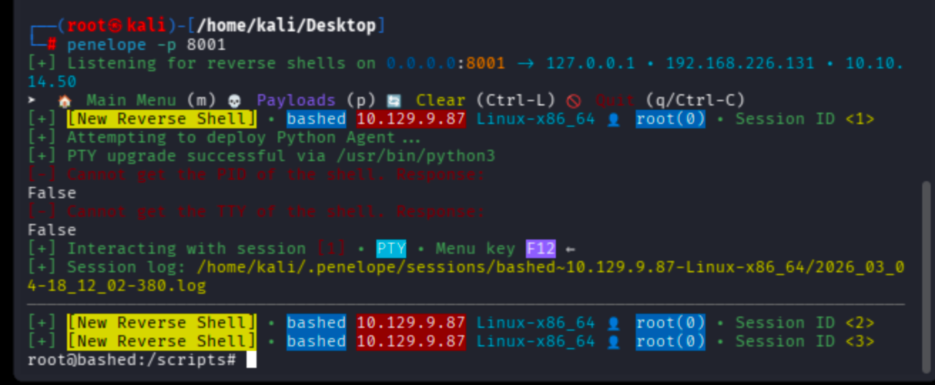 Terminal showing Penelope listener receiving connection and attempting PTY upgrade.